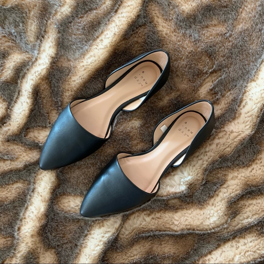 Pointed Toe Flats